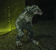 A storm beast on Malachor V