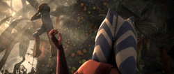 Ahsoka Force choke Trandoshan