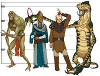 Species Wookieepedia Fandom