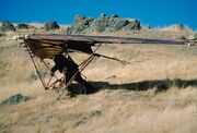 Ewok hang glider