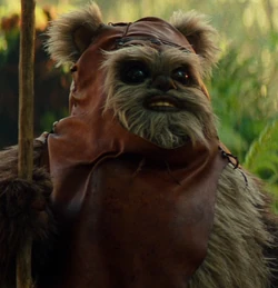 Wicket Wystri Warrick | Star Wars Wiki | Fandom