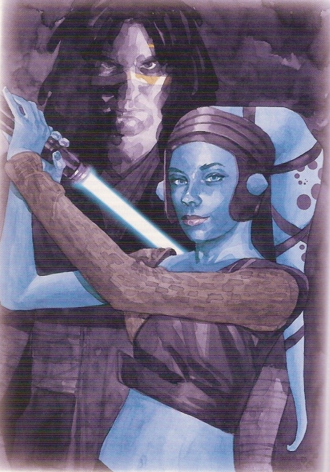 Jedi Knight Aayla Secura and Jedi Master Quinlan Vos