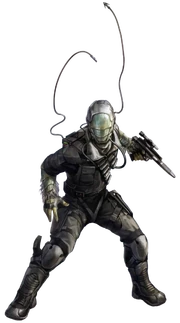 The Melittos' faces were covered in chitinous plates.