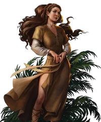 Chapter I Playing the Game FDCR