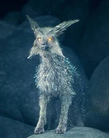 ヴァルプテックス