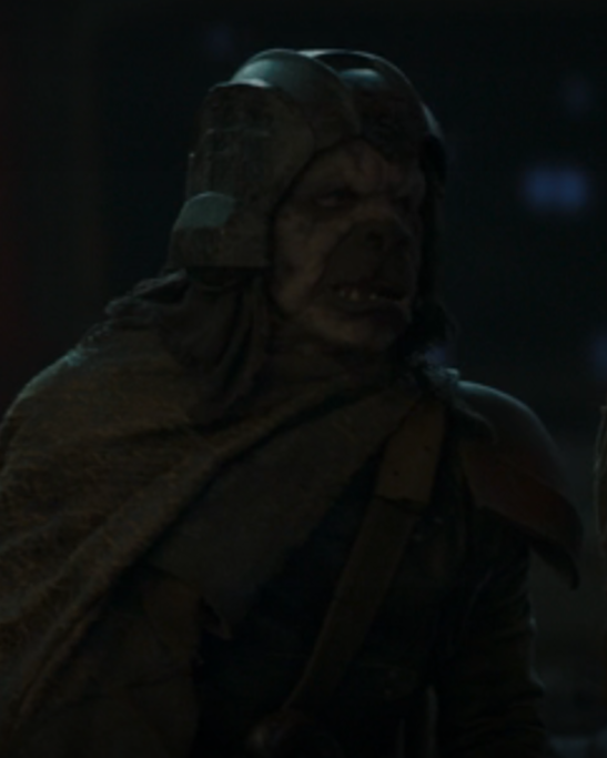 Unidentified helmeted pirate appearance 
