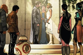 SnapAndKaresWedding-PoeDameron25