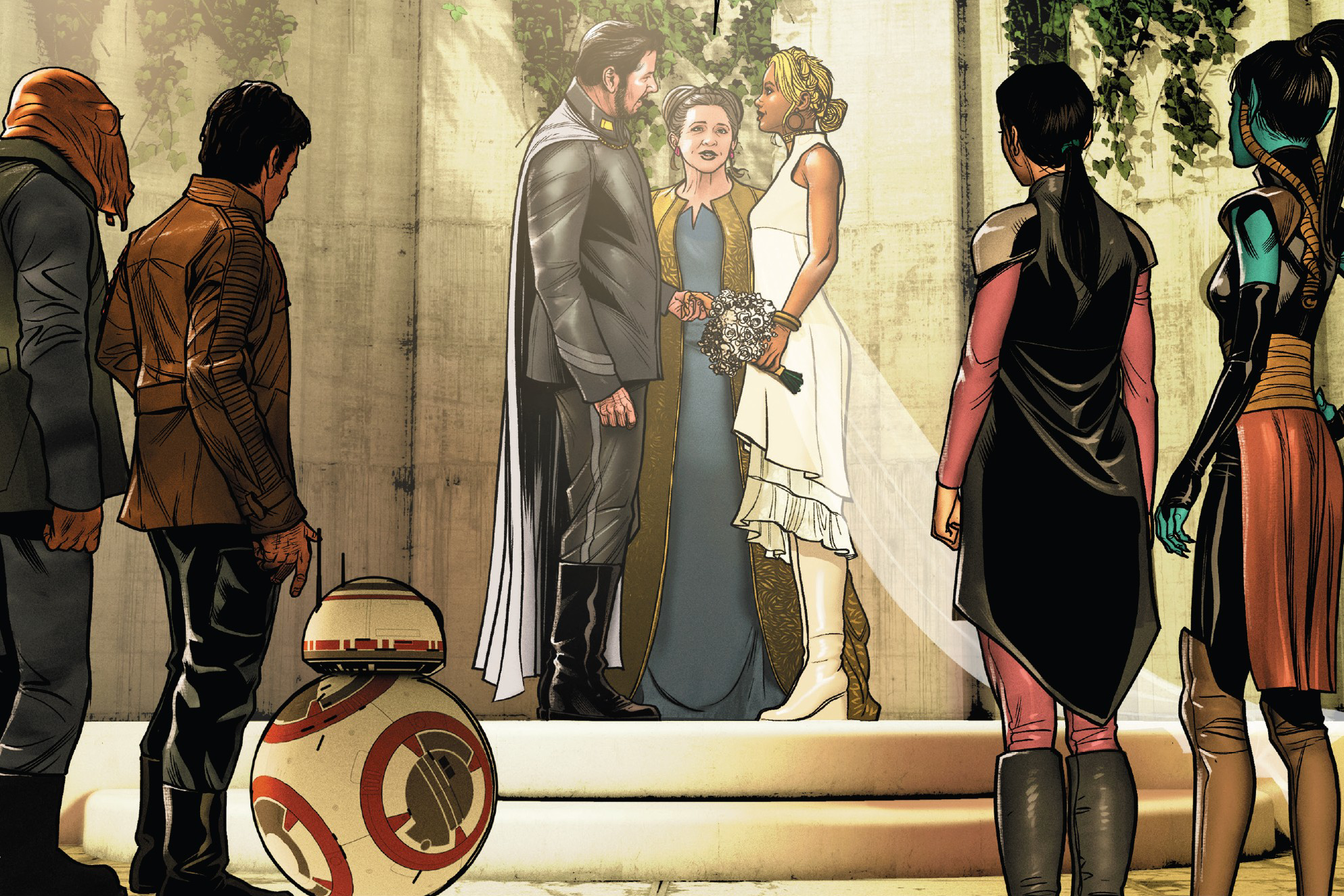 Marriage | Wookieepedia | Fandom