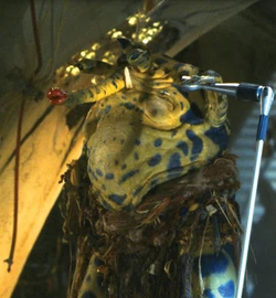 SySnootles-BaseSeries1