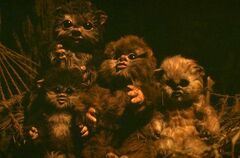 イウォーク Wookieepedia Fandom