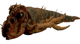 Monster book rock wart