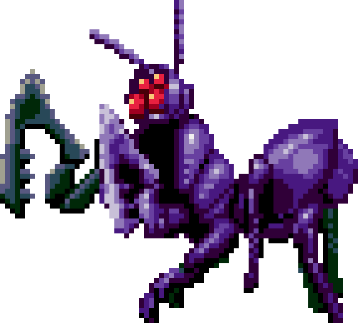 Purple mantis appearance 