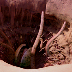 カテゴリ クリーチャー Wookieepedia Fandom カテゴリ クリーチャー Wookieepedia Fandom
