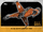 B-wing Starfighter 2 - Star Wars Rebels: Retro