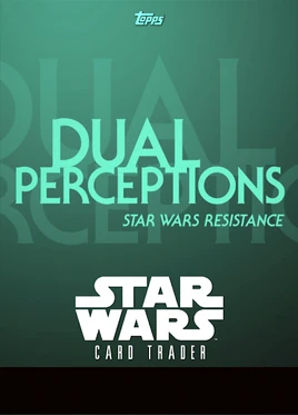 DualPerceptions2020-back