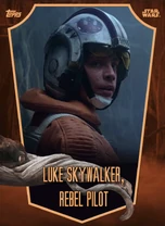 Luke Skywalker, Rebel Pilot