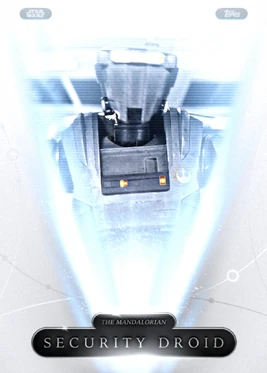 NewRepublicSecurityDroid-2021base-front