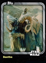 Bantha - Creature