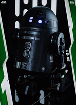 C2-B5 (Green variant)