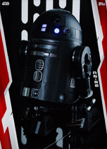 C2-B5 (Red variant)