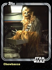 ChewbaccaPilot-2015-Front.jpg (961 KB) Front