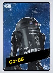 Space variant, front