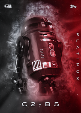 C2-B5 Platinum2