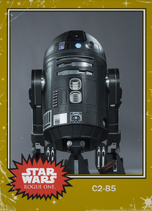 C2-B5 (Gold variant)