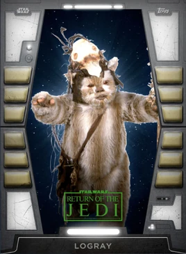 Logray-2020base2-front