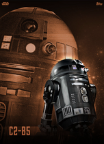 C2-B5