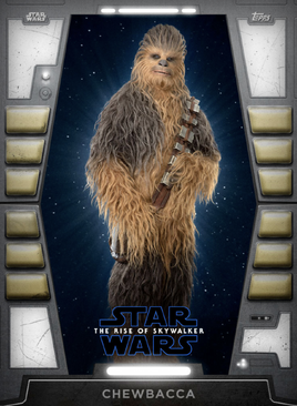 Chewbacca-2020base-front