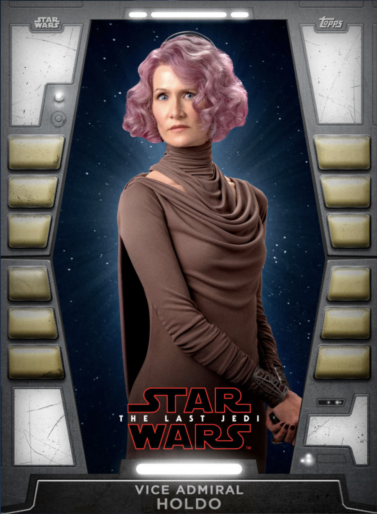 Vice Admiral Amilyn Holdo, Wiki