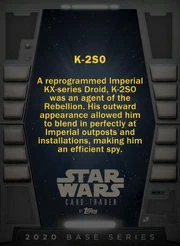 K2SO-2020-Back.jpg (945 KB) Tier 1, back