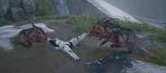 J.FO.Scazz.Stormtrooper.jpg (722 KB) Scazz fighting over a dead Stormtrooper