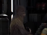 Wookiee