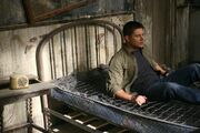 Dean077 (44)