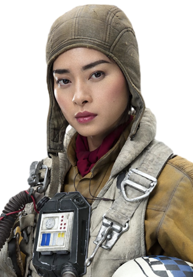 Paige Tico had at least one sibling, a younger sister named Rose Tico. 