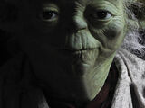 Minch Yoda