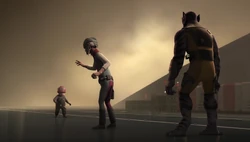 Hondo and  working with .