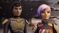 picture Love Sabine Wren Fan Art sabine wren relationships star wars