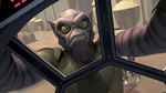 Angry Zeb