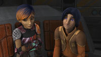 Sabine & Ezra's Secret