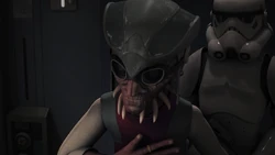 Hondo apologizing to .