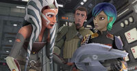 Rebels-social