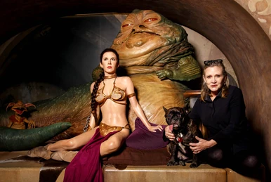 Leia Organa's wedding dress | Wookieepedia | Fandom