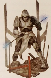 Штурмовик порядку (ІДПК)