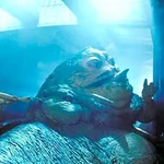 Категорія:Раси (629 КБ) Раси