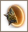 Item Alliance Relocator1