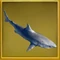 Megaldon March Skin