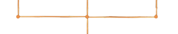 Research lines